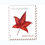 Postcard Stamps 2025 Autumn Leaves – Seasonal Celebration, Sheet Postcard Rate