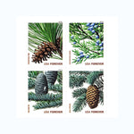 2010 Holiday Evergreens Forever Stamps -  First-Class Postage Booklet