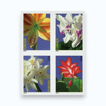 2014 Winter Flowers Forever Stamps -  First-Class Postage Booklet