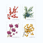 2019 Winter Berries  Forever Postage Stamps Booklet First-Class Postage