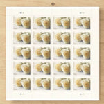 2011 Wedding Roses Forever Postage Stamps Sheet First-Class Postage