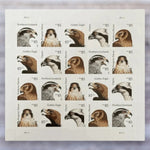 2012 Birds of Prey 85¢ Postage Stamps – Additional Postage, Sheet