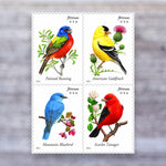 2014 Songbirds Forever Postage Stamps – First-Class Mail, Booklet