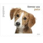 2016 Pets Forever Stamps - First-Class Stamps Booklets