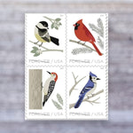 2018 Birds in Winter Forever Postage Stamps – First-Class Mail, Booklet