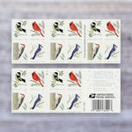 2018 Birds in Winter Forever Postage Stamps – First-Class Mail, Booklet