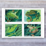 2019 Frogs Forever Postage Stamps – First-Class Mail, Booklet