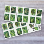 2019 Frogs Forever Postage Stamps – First-Class Mail, Booklet