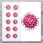 2020 Chrysanthemum Global Forever Postage Stamps – International Mail, Sheet
