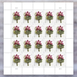 2020 Contemporary Boutonniere Forever Postage Stamps – First-Class Mail, Sheet