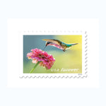 2024 Garden Delights Forever Postage Stamps Booklet First-Class Postage