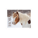 2024 Horses Forever Stamps - First-Class Postage Sheet