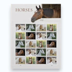 2024 Horses Forever Stamps - First-Class Postage Sheet