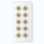 2025 Compass Rose Forever Postage Stamps Sheet First-Class Postage