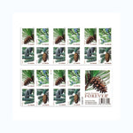 2010 Holiday Evergreens Forever Stamps -  First-Class Postage Booklet