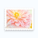 2025 Dahlias  Forever Postage Stamps Booklet First-Class Postage