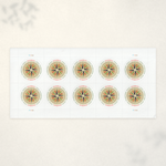 2025 1794 Compass Rose Global Forever Stamps — Sheet of 10 - Product image 2