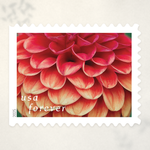 2025 Dahlias Forever Stamps - Product image 1