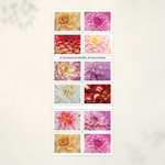 2025 Dahlias Forever Stamps - Product image 2