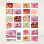 2025 Dahlias Forever Stamps - Product image 4