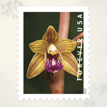 2020 Wild Orchids Forever Stamps - Product image 1