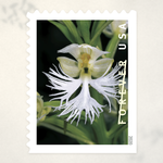 2020 Wild Orchids Forever Stamps - Product image 3