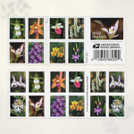 2020 Wild Orchids Forever Stamps - Product image 4