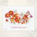 2022 Tulips Forever Stamps - Product image 1