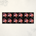 2014 The Star-Spangled Banner Forever Stamps - Product image 3