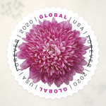 2020 Chrysanthemum Global Forever Stamps - Product image 1