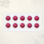 2020 Chrysanthemum Global Forever Stamps - Product image 2