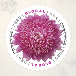 2020 Chrysanthemum Global Forever Stamps - Product image 3