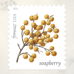 2019 Winter Berries Forever Stamps - Product image 1