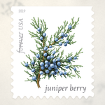 2019 Winter Berries Forever Stamps - Product image 3
