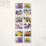 2022 Snowy Beauty Forever Stamps - Product image 2