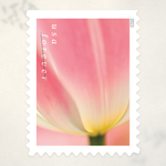 2023 Tulip Blossoms Forever Stamps - Product image 1