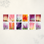 2023 Tulip Blossoms Forever Stamps - Product image 2