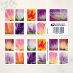 2023 Tulip Blossoms Forever Stamps - Product image 4