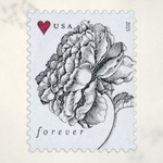 2015 Vintage Rose Forever Stamps — Sheet of 20 - Product image 1