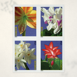 2014 Winter Flowers Forever Stamps - Product image 2