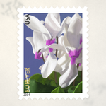 2014 Winter Flowers Forever Stamps - Product image 3