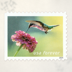 2024 Garden Delights Forever Stamps - Product image 3