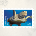 2024 Protect Sea Turtles Forever Stamps — Sheet of 18 - Product image 1