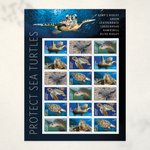 2024 Protect Sea Turtles Forever Stamps — Sheet of 18 - Product image 2