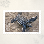 2024 Protect Sea Turtles Forever Stamps — Sheet of 18 - Product image 3