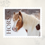 2024 Horses Forever Stamps — Sheet of 20 - Product image 1