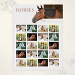 2024 Horses Forever Stamps — Sheet of 20 - Product image 2