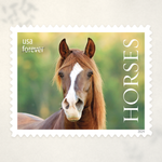 2024 Horses Forever Stamps — Sheet of 20 - Product image 3