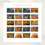 2024 Autumn Colors Forever Stamps — Sheet of 20 - Product image 2