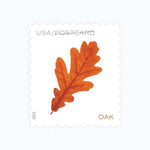 2025 Autumn Leaves Postcard Rate Stamps Coil First-Class Postage